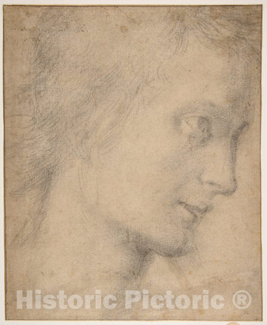Art Print : Giovanni Antonio Sogliani - Head of a Youth in Profile (Recto)
