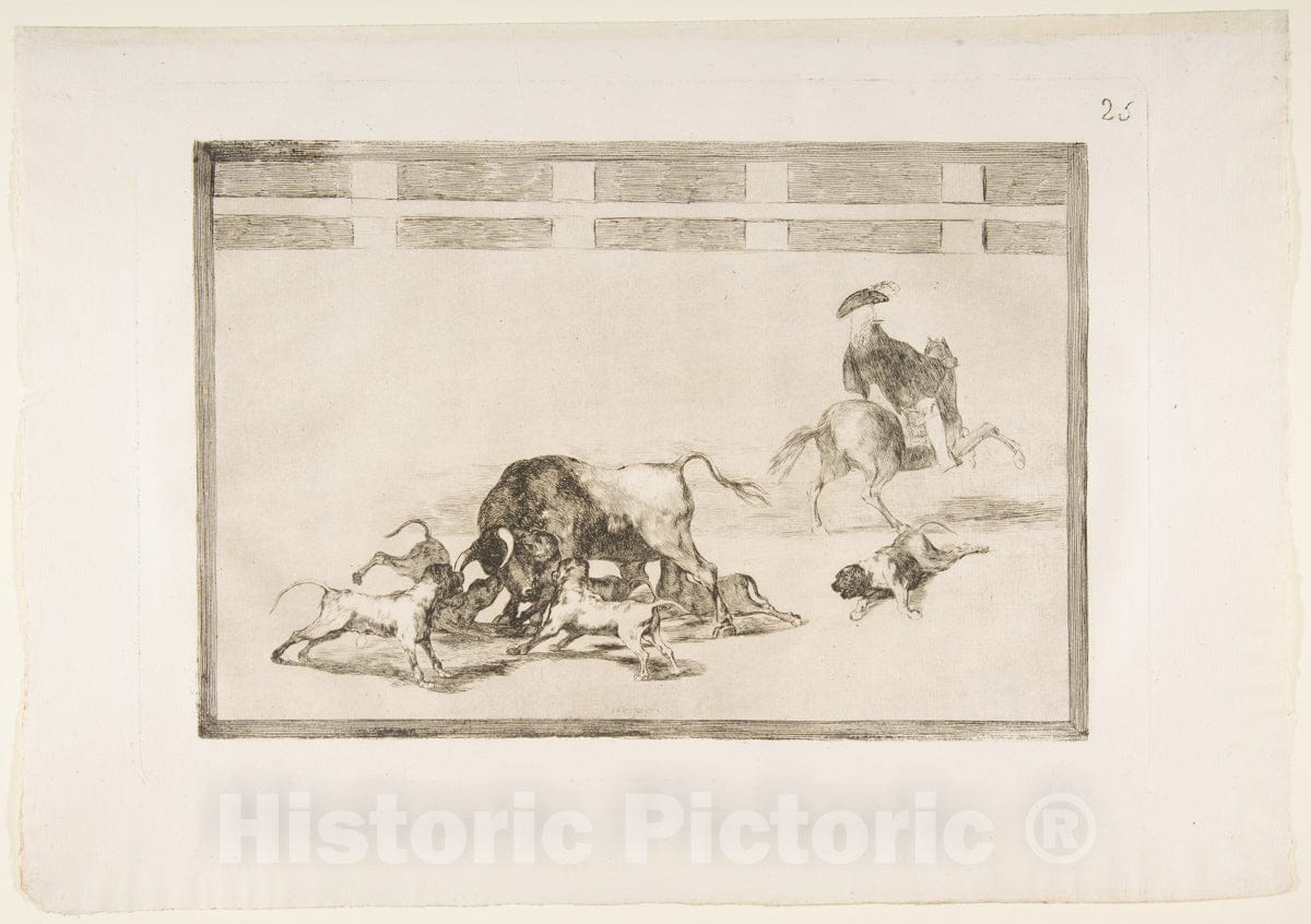 Art Print : Goya - Plate 25 from The 'Tauromaquia':They Loose Dogs on The Bull. : Vintage Wall Art