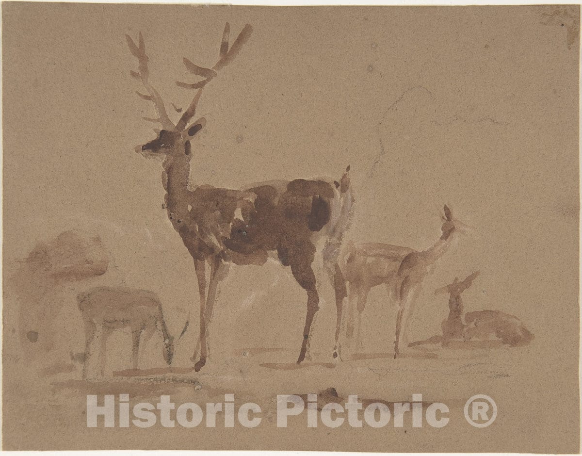 Art Print : Sir Edwin Henry Landseer - Stag and Its Young : Vintage Wall Art