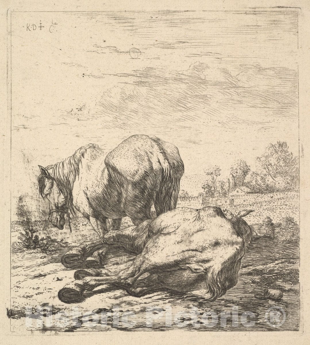 Art Print : Karel Dujardin - The Two Horses : Vintage Wall Art