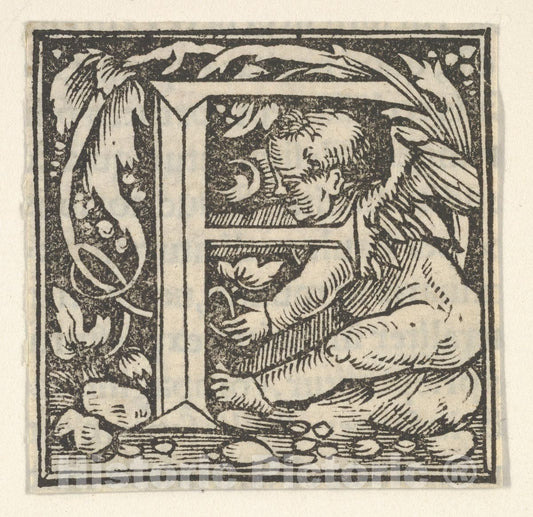 Art Print : Heinrich Vogtherr The Elder - Initial Letter F with putto : Vintage Wall Art