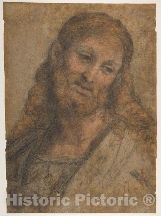 Art Print : Andrea Solario - Bust of a Bearded Figure. : Vintage Wall Art