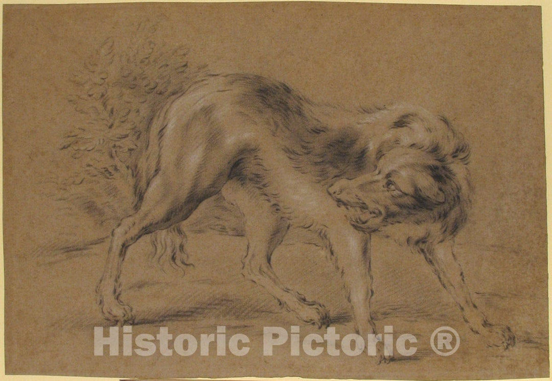 Art Print : Jean-Baptiste Oudry - Angry Dog : Vintage Wall Art