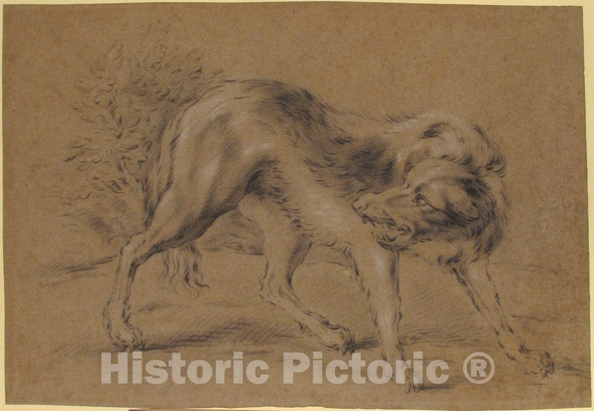 Art Print : Jean-Baptiste Oudry - Angry Dog : Vintage Wall Art