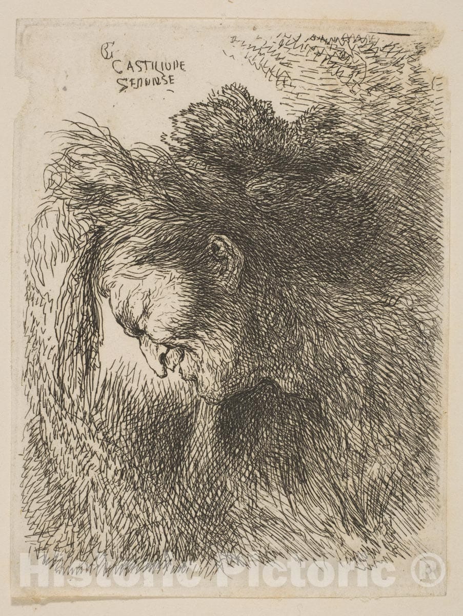 Art Print : Giovanni Benedetto Castiglione (Il Grechetto) - Head of an Old Man Looking Down, Facing Left 1 : Vintage Wall Art