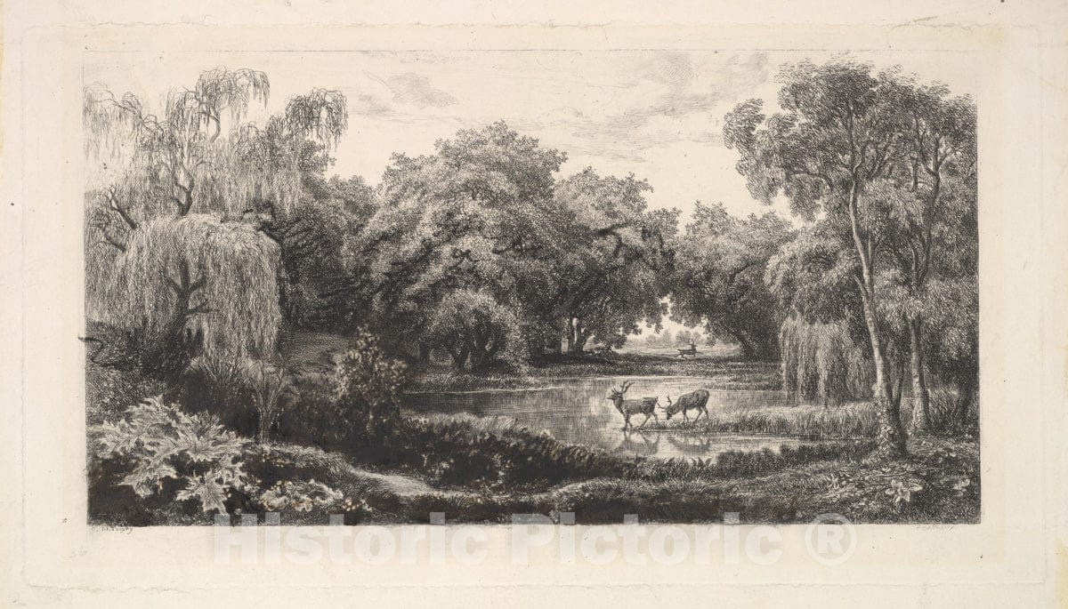 Art Print : Charles-François Daubigny - The Deer Pond : Vintage Wall Art