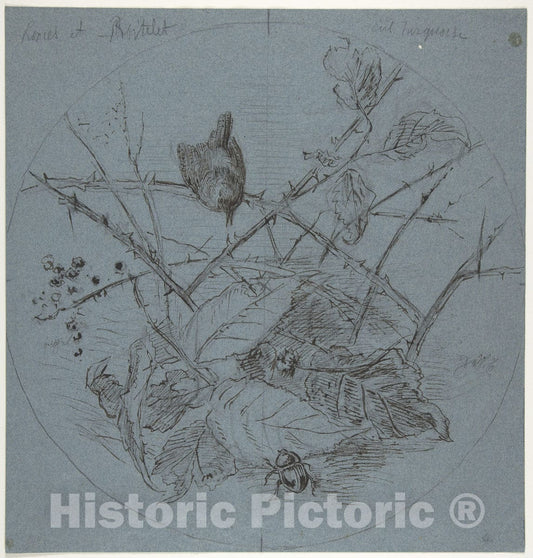 Art Print : Karl Bodmer - Design for a Plate : Vintage Wall Art