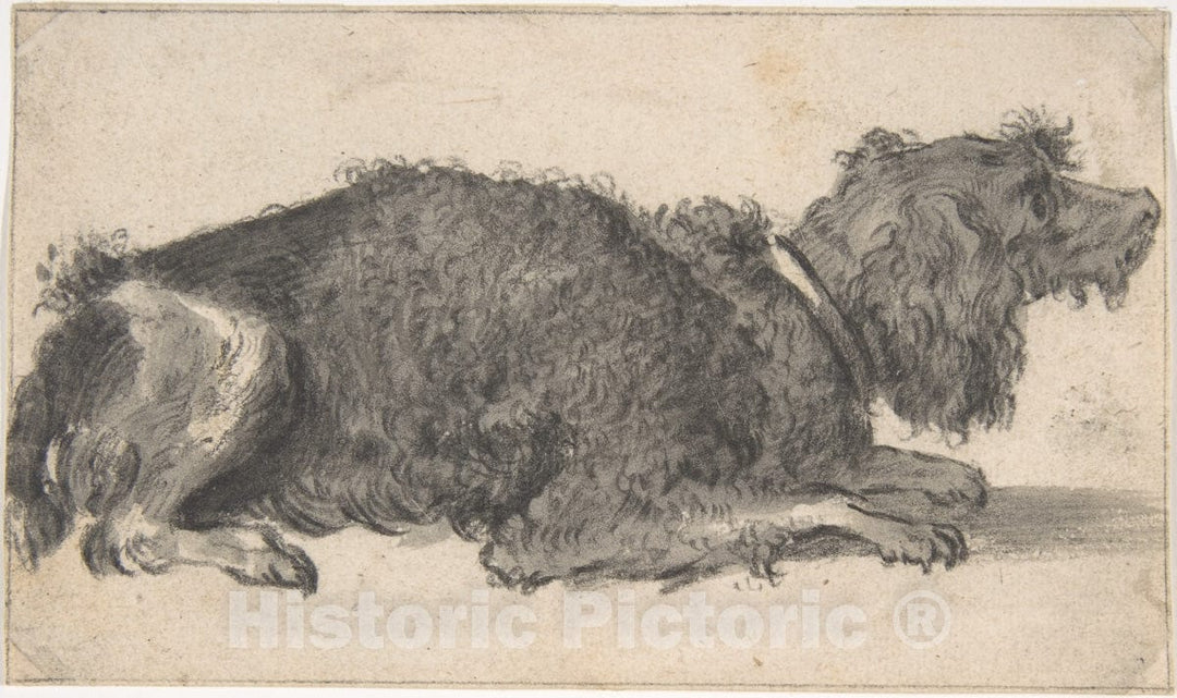 Art Print : Cornelis Saftleven - A Dog : Vintage Wall Art
