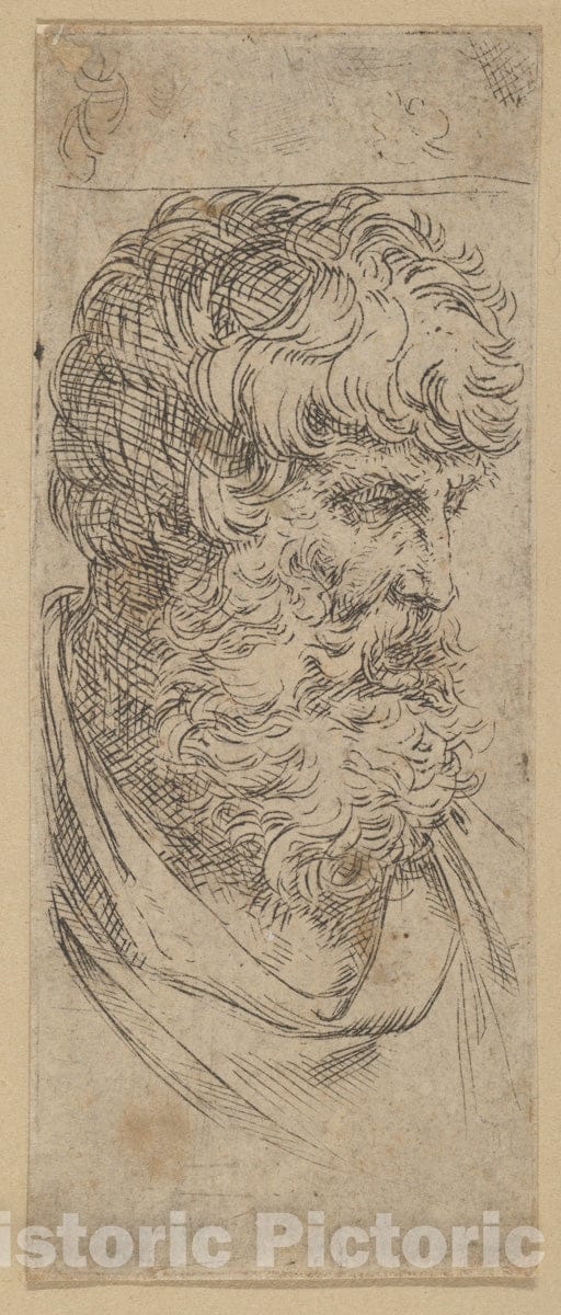 Art Print : Guido Reni - Bust of a Bearded Man : Vintage Wall Art