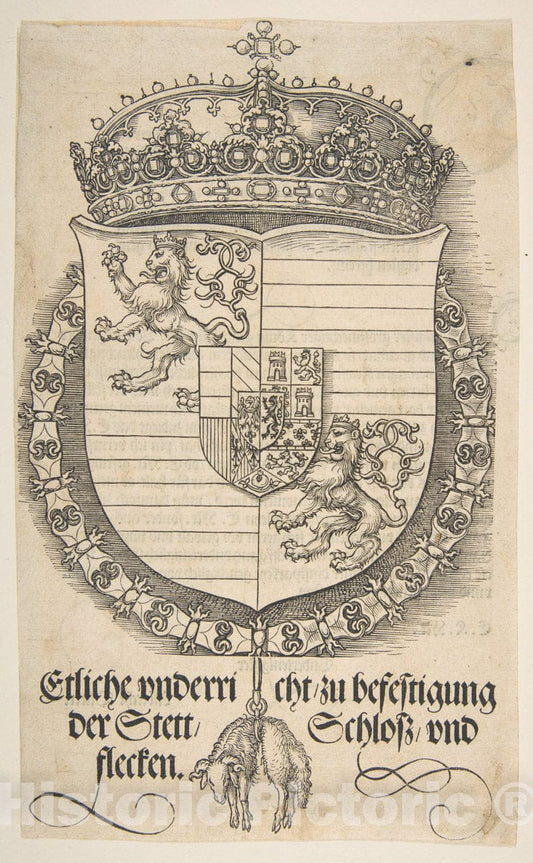 Art Print : Albrecht Dürer - The Arms of Ferdinand I, King of Hungary and Bohemia : Vintage Wall Art