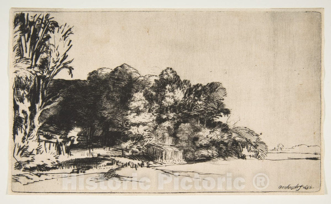 Art Print : Rembrandt (Rembrandt Van Rijn) - Clump of Trees with a Vista : Vintage Wall Art