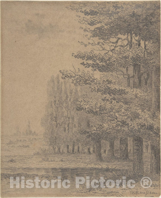 Art Print : Théodore Rousseau - Landscape (A Grove of Trees Standing Near a River) : Vintage Wall Art