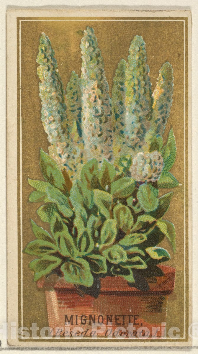 Dragable Image