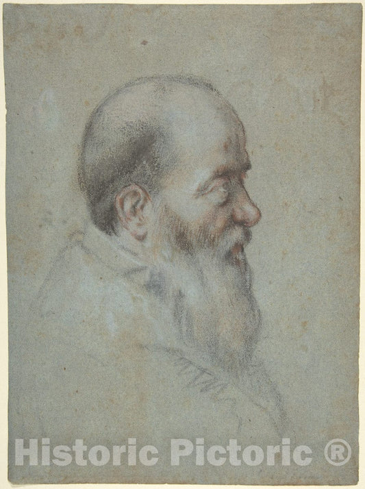 Art Print : Carletto Caliari - Bust of a Bearded Old Man, Profile to Right : Vintage Wall Art
