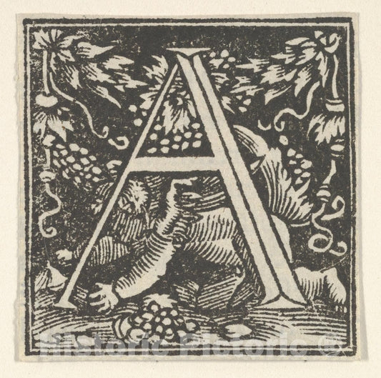 Art Print : Heinrich Vogtherr The Elder - Initial Letter A with putto : Vintage Wall Art