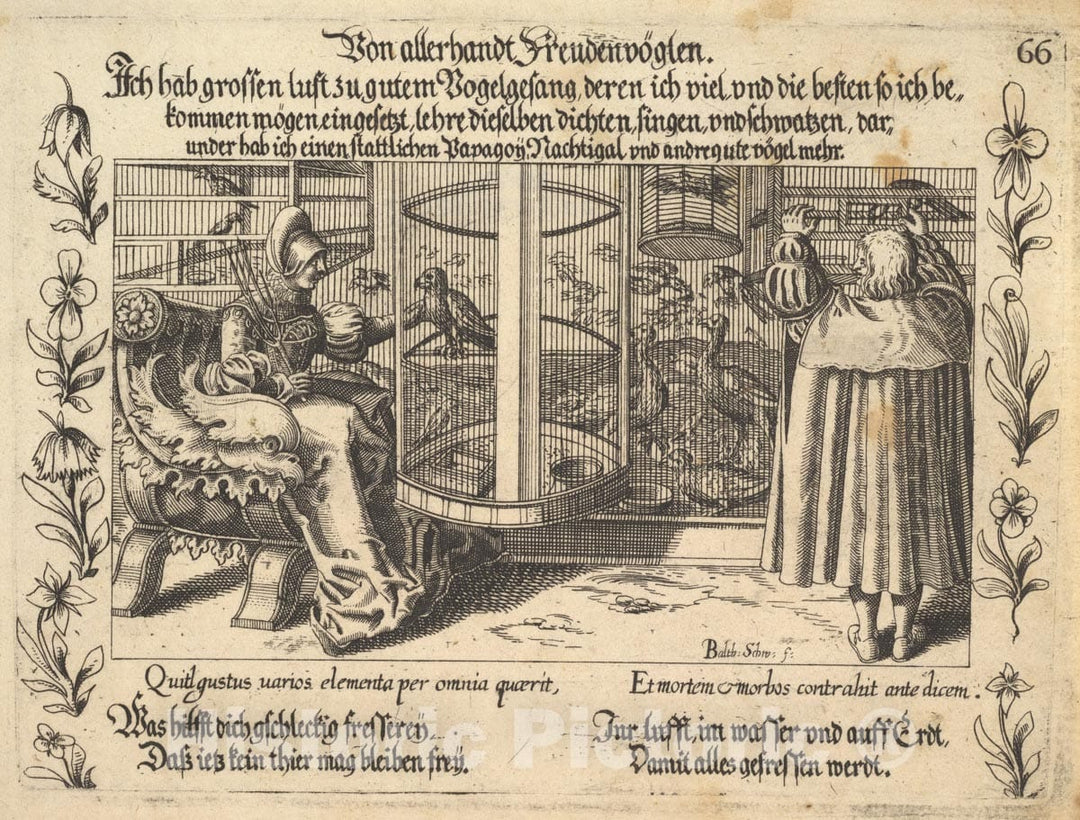 Art Print : Balthasar Schwan - Von allerhandt Freudenvöglen, Illustration from Petrarch, Glück und Unglück Spiegel, Figure 66 : Vintage Wall Art