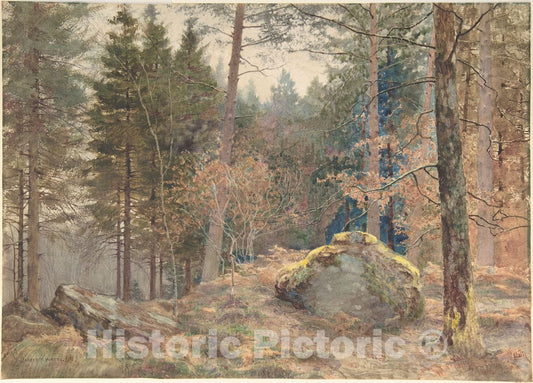 Art Print : James Thomas Watts - in a Welsh Pine Wood : Vintage Wall Art