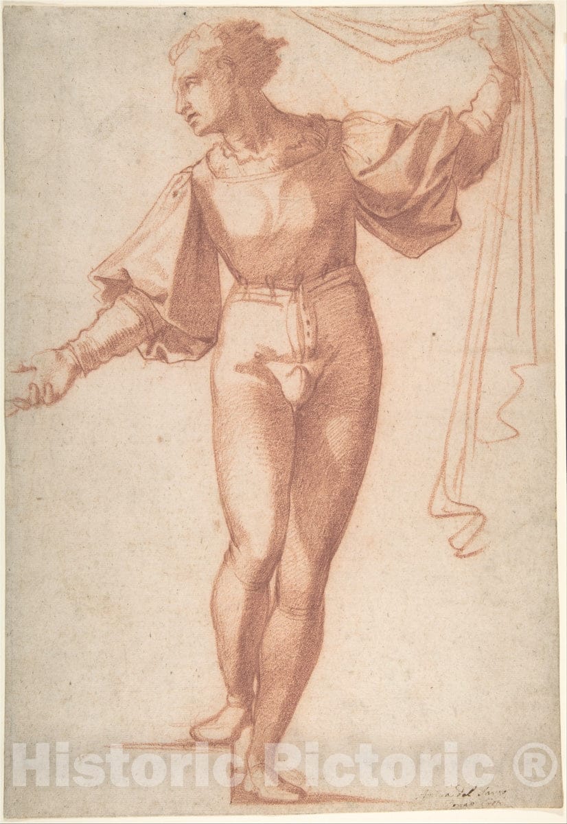 Art Print : Baccio Bandinelli - Study for a Standing Young Man, Raising a Curtain and Looking at Left : Vintage Wall Art