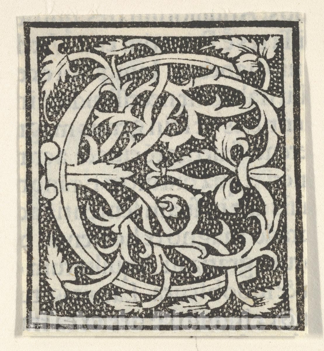 Art Print : Anonymous, Italian, 16th Century - Initial Letter C on Patterned Background : Vintage Wall Art