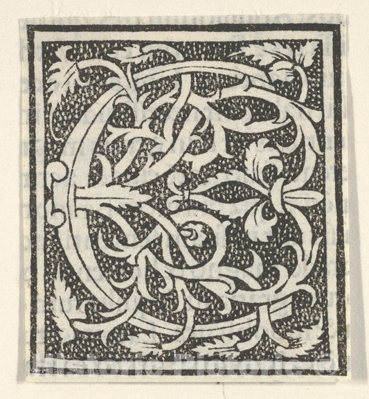 Art Print : Anonymous, Italian, 16th Century - Initial Letter C on Patterned Background : Vintage Wall Art