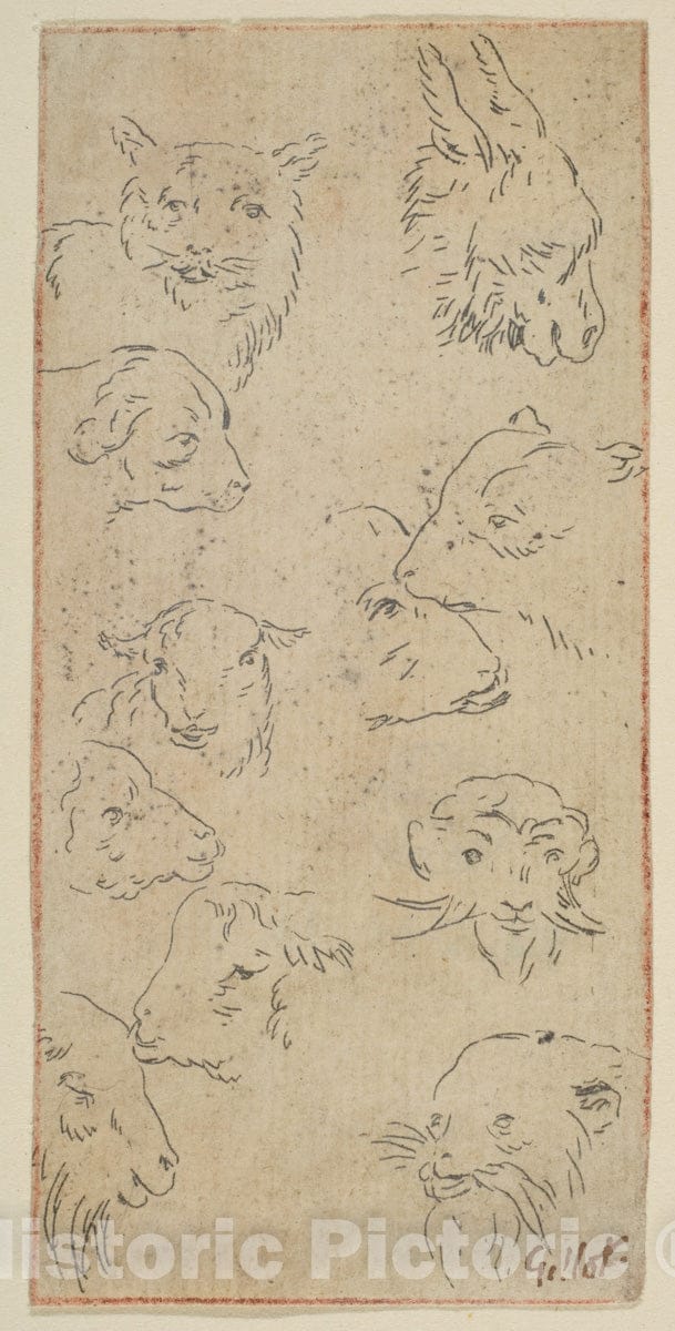 Art Print : Claude Gillot - Study of Animal Heads : Vintage Wall Art