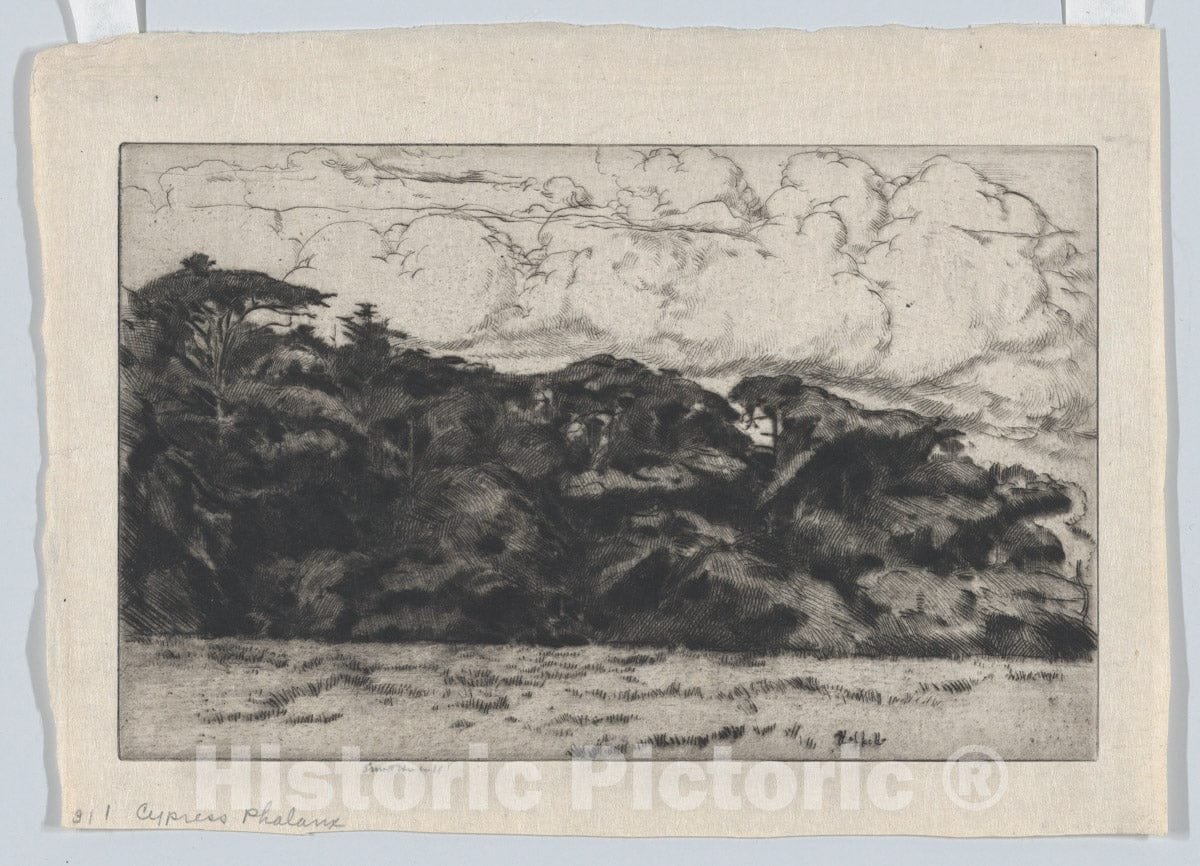 Art Print : Ernest Haskell - Cypress Phalanx : Vintage Wall Art
