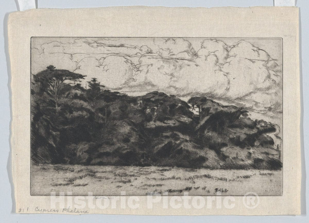 Art Print : Ernest Haskell - Cypress Phalanx : Vintage Wall Art
