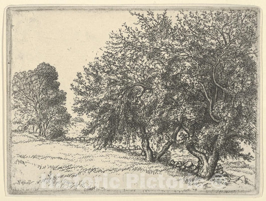 Art Print : Ernest Haskell - Apple Trees : Vintage Wall Art