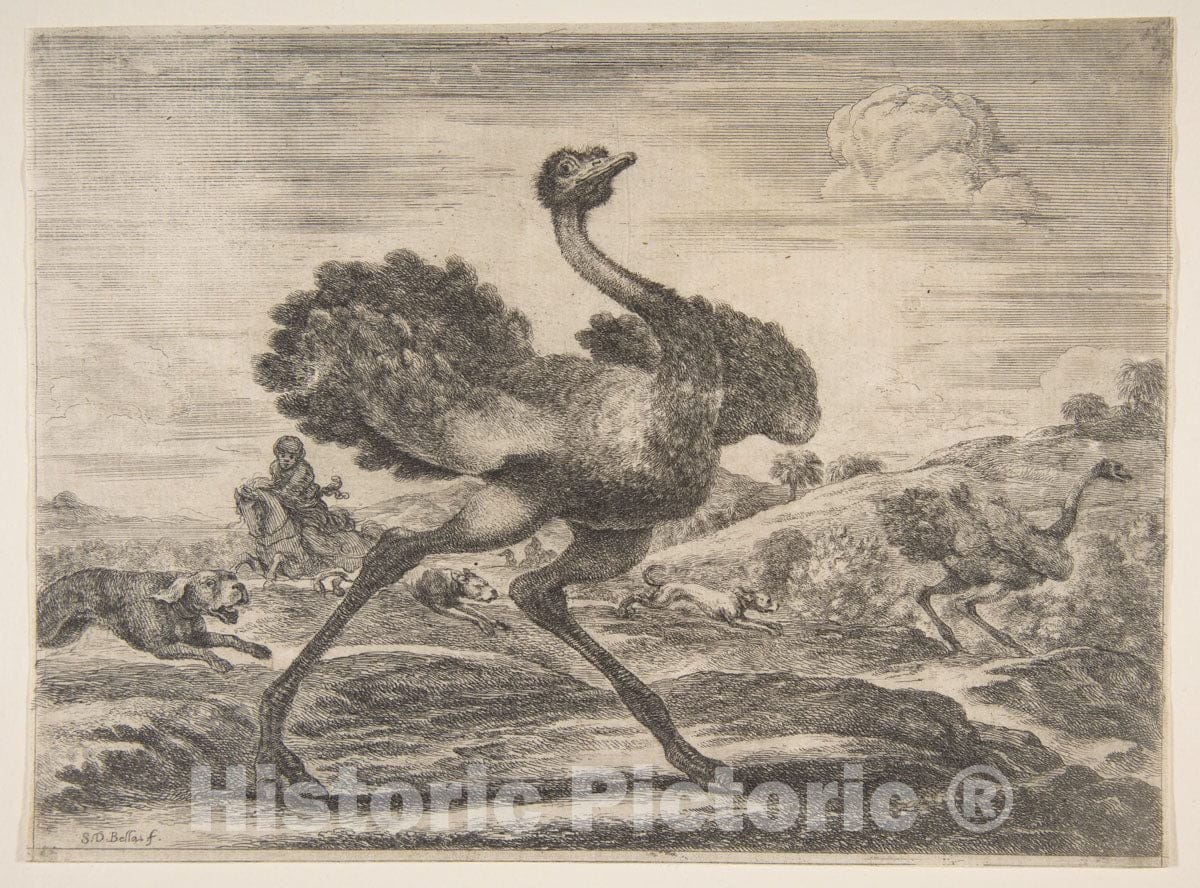 Art Print : Stefano Della Bella - Ostrich Hunt, from 'Animal Hunts' (Chasses à différents animaux) : Vintage Wall Art