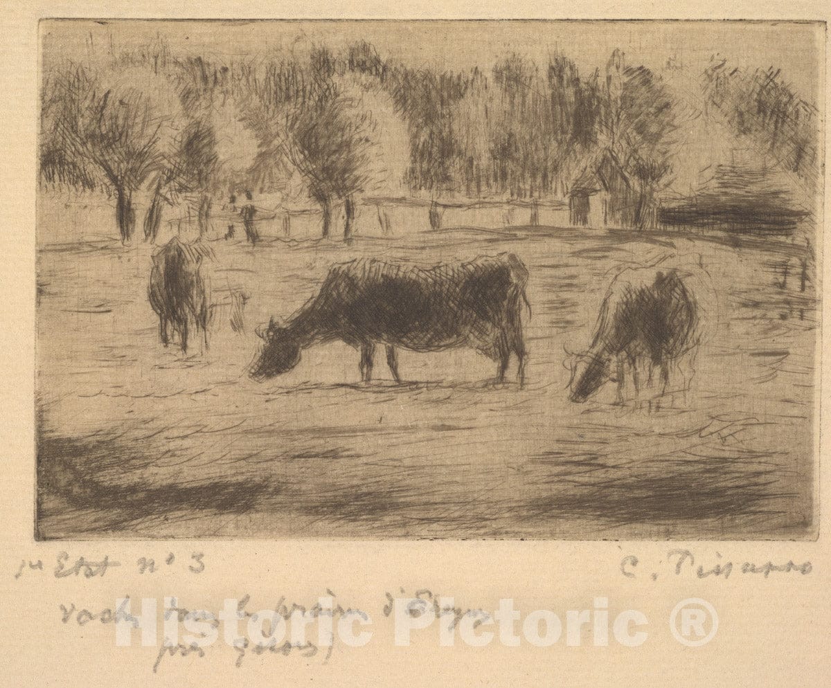 Art Print : Camille Pissarro - Cows in The Fields of Éragny, Near Gisors : Vintage Wall Art