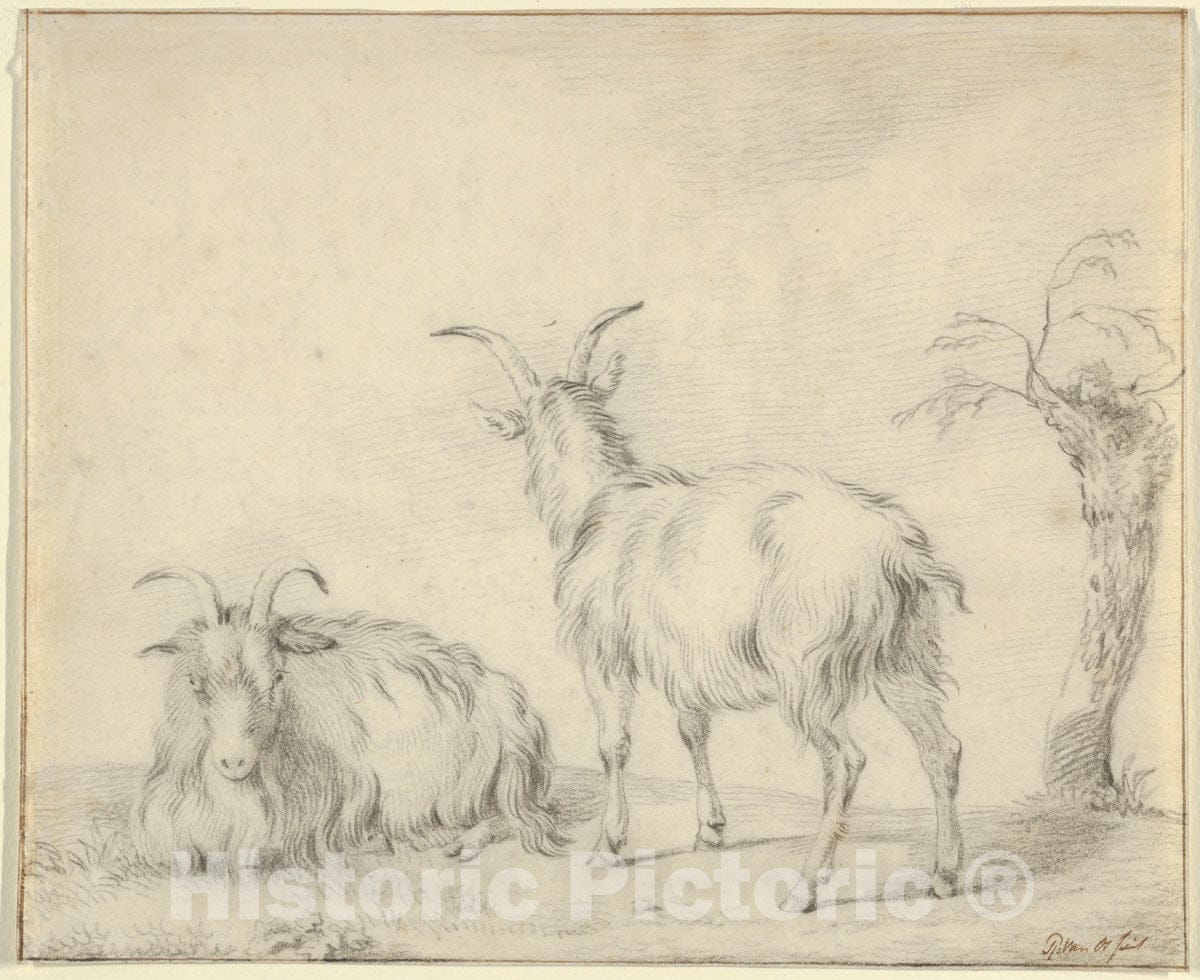 Art Print : Pieter Gerardus Van Os - A Standing and a Lying Goat Near a Small Tree : Vintage Wall Art