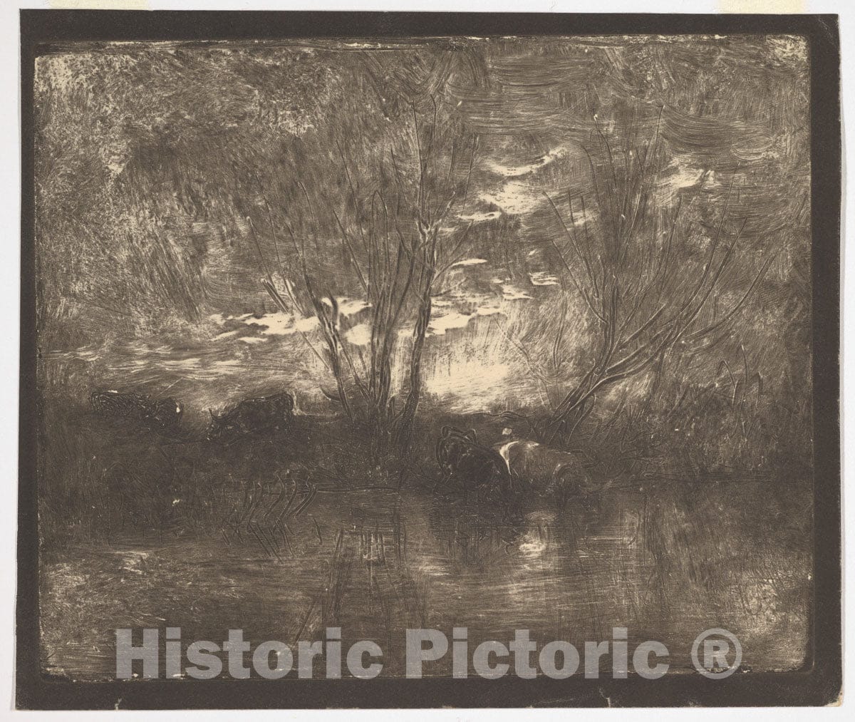 Art Print : Charles-François Daubigny - Cows at a Watering Place : Vintage Wall Art