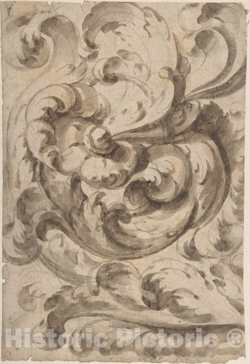 Art Print : Italian, 17th Century - Acanthus Scroll 1 : Vintage Wall Art