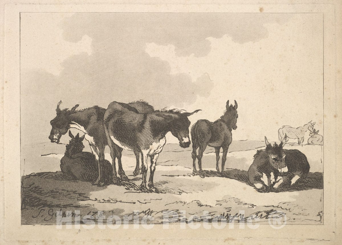 Art Print : Thomas Rowlandson - A Group of Five Donkeys, Three Standing, Two Lying : Vintage Wall Art