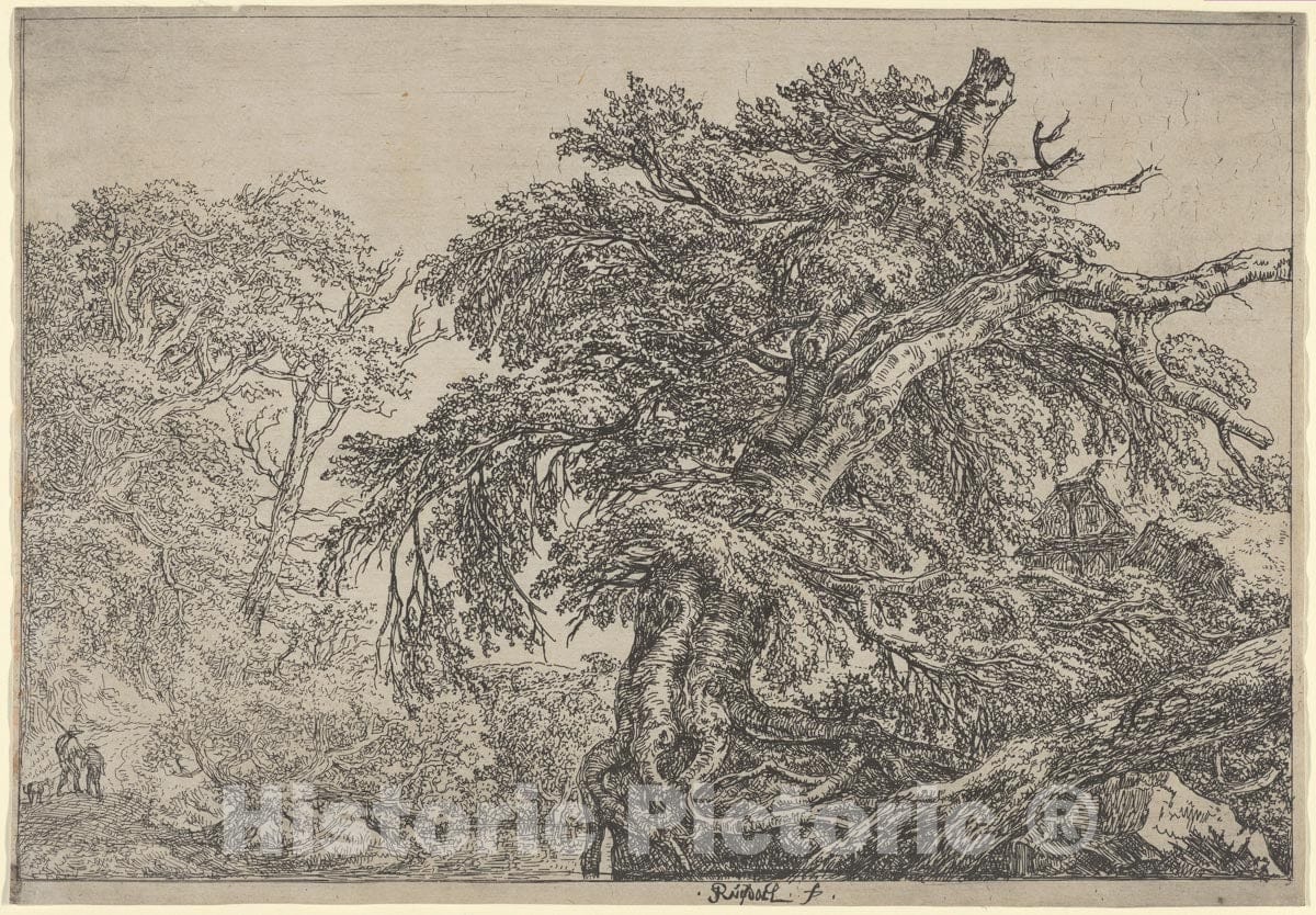 Art Print : Jacob Van Ruisdael - The Great Beech (Two Farmers with Their Dog) : Vintage Wall Art