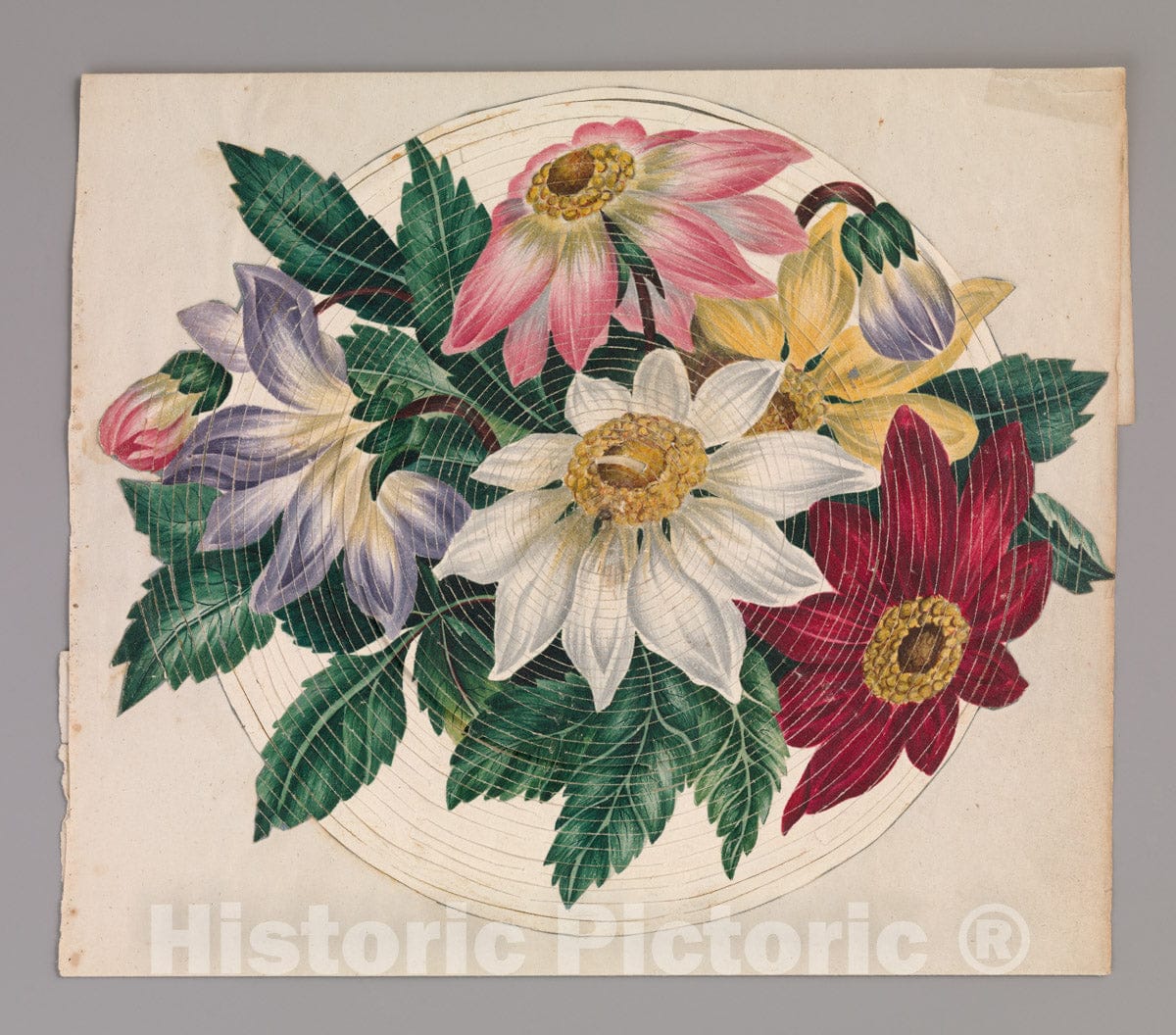 Art Print : Anonymous - Cobweb Valentine 2 : Vintage Wall Art