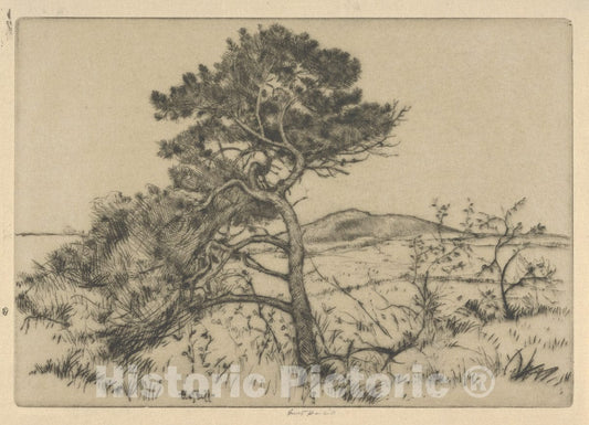 Art Print : Ernest Haskell - Popham Pines : Vintage Wall Art