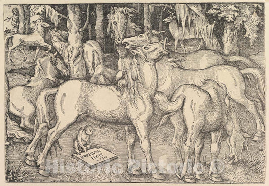 Art Print : Hans Baldung (Called Hans Baldung Grien) - Group of Seven Horses 1 : Vintage Wall Art