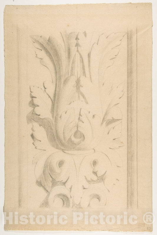 Art Print : Georges Seurat - Architectural Motif: Double Acanthus Fleuron : Vintage Wall Art