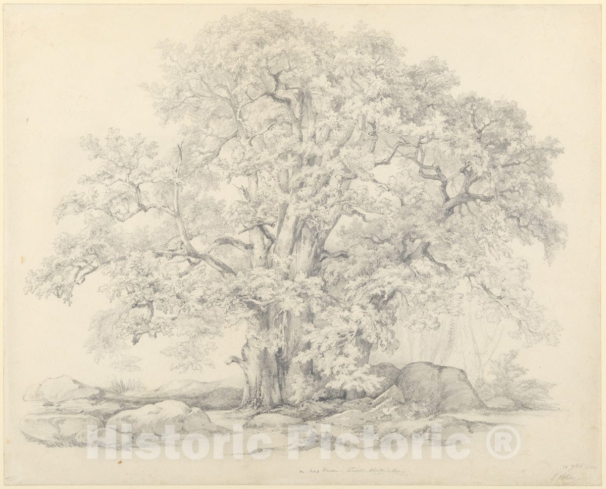 Art Print : Eugène Stanislas Alexandre Bléry - Tree and Rocks in The Forest of Fontainebleau : Vintage Wall Art