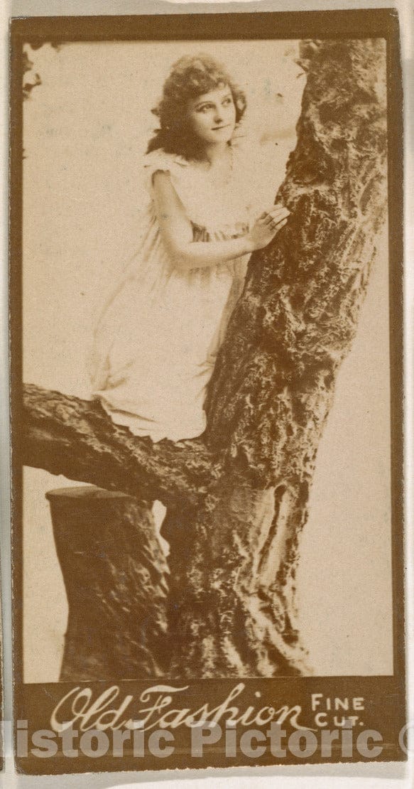 Photo Print : Actress Climbing Tree, from The Actresses Series (N664) Promoting Old Fashion Fine Cut Tobacco : Vintage Wall Art