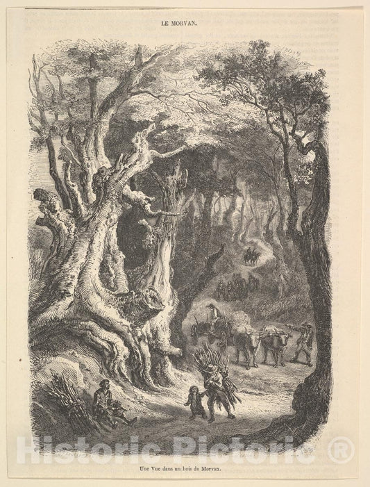 Art Print : Charles-François Daubigny - A View in The Forest of Morvan : Vintage Wall Art