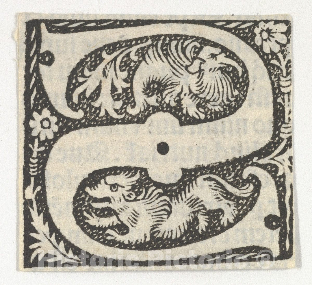 Art Print : Anonymous, French, 15th Century - Decorated Roman Alphabet 5 : Vintage Wall Art