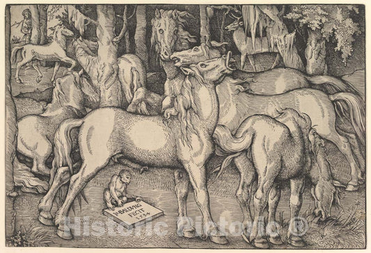 Art Print : Hans Baldung (Called Hans Baldung Grien) - Group of Seven Horses - 435178 : Vintage Wall Art