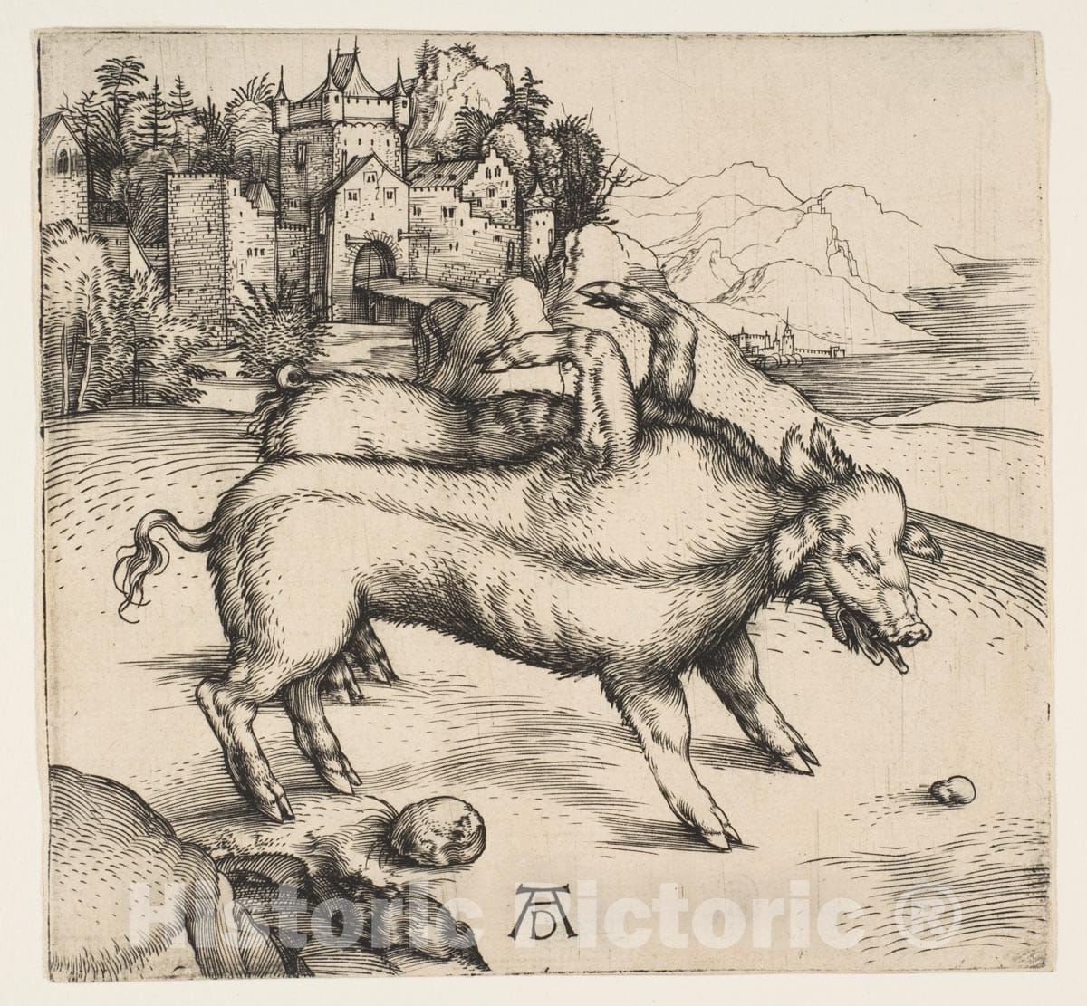 Art Print : Albrecht Dürer - The Monstrous Pig of Landser : Vintage Wall Art