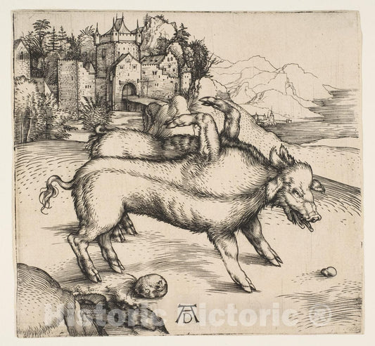 Art Print : Albrecht Dürer - The Monstrous Pig of Landser : Vintage Wall Art