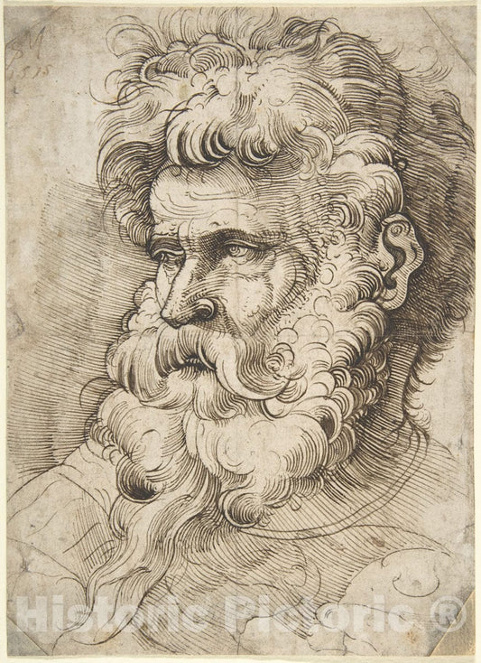 Art Print : Monogrammist SM - Head of a Bearded Man : Vintage Wall Art