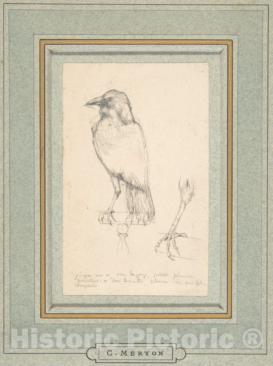 Art Print : Charles Meryon - A Raven Perched on a Rail : Vintage Wall Art