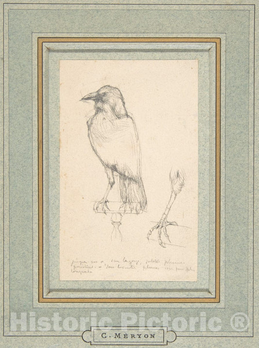Art Print : Charles Meryon - A Raven Perched on a Rail : Vintage Wall Art