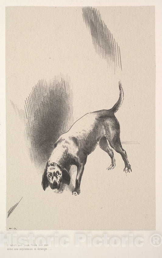 Art Print : Odilon Redon - He Fixed his Eyes on me with an Expression That was so Strange : Vintage Wall Art